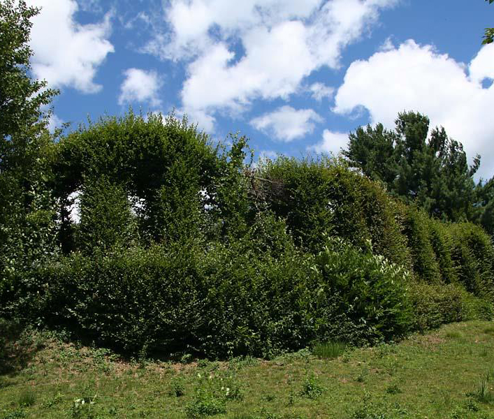 La verde attrazione. Guida alle architetture del verde: uccellande storiche in Friuli