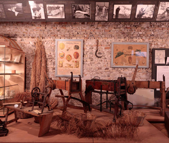 Scopri gli spazi Erpac: il Museo Diogene Penzi