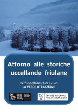 ANCORA ROCCOLI E BRESSANE